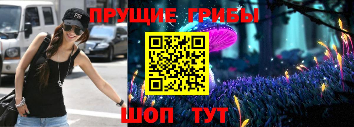 Галлюциногенные грибы GOLDEN TEACHER  Вход с VPN  Протвино 